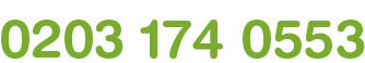 0203 174 0553